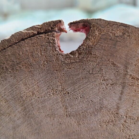 Stacked Wood Painted On 7.25" Wood Disc - Abstract Art - Yellow, Red Handpainted - Picture 14 of 15